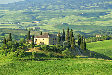 View to farmhouse in rolling hills, Val d'Orcia, San Quirico d'Orcia, Tuscany, Italy, Europe