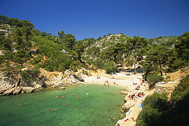 The Calanque de Port-Pin, Cassis, Bouches-du-Rhone, Cote d'Azur, Provence, France, Mediterranean, Europe