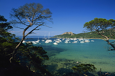 Boats anchored in bay off the Plage Notre Dame, Ile de Porquerolles, near Hyeres, Var, Cote d'Azur, Provence, France, Mediterranean, Europe