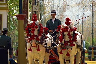 Horse-drawn carriage, Feria del Caballo (Horse Fair), Jerez de la Frontera, Cadiz area, Andalucia (Andalusia), Spain, Europe