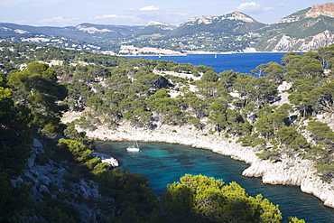 View from hillside to the Calanque de Port-Pin and distant Baie de Cassis, Cassis, Bouches-du-Rhone, Provence, Cote d'Azur, France, Europe