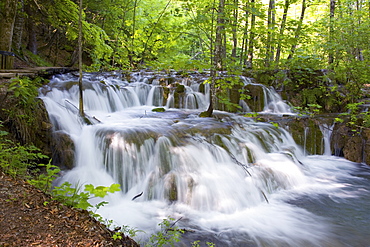 Attractive cascades amongst woodland, Plitvice Lakes National Park (Plitvicka Jezera), UNESCO World Heritage Site, Lika-Senj County, Croatia, Europe