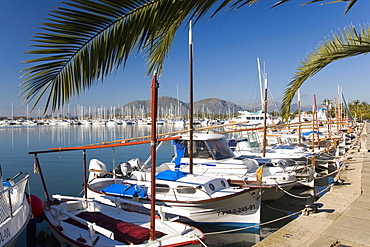 Traditional boats moored in the harbour, Port d'Alcudia, Mallorca, Balearic Islands, Spain, Mediterranean, Europe