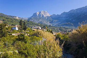 View up fertile valley to Puig Major, the island's highest peak, Soller, Mallorca, Balearic Islands, Spain, Europe