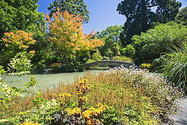 The Water Garden, Christchurch Botanic Gardens, Christchurch, Canterbury, South Island, New Zealand, Pacific