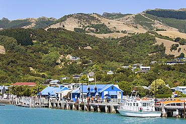 View from Akaroa Harbour to the Main Wharf, Akaroa, Banks Peninsula, Canterbury, South Island, New Zealand, Pacific