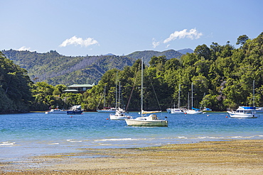 Yachts moored in the sheltered harbour, Ngakuta Bay, near Picton, Marlborough, South Island, New Zealand, Pacific