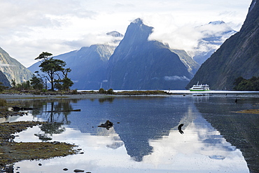 View down Milford Sound, mountains reflected in water, Milford Sound, Fiordland National Park, UNESCO World Heritage Site, Southland, South Island, New Zealand, Pacific