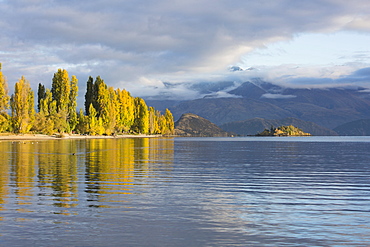 View across tranquil Lake Wanaka, autumn, Roys Bay, Wanaka, Queenstown-Lakes district, Otago, South Island, New Zealand, Pacific