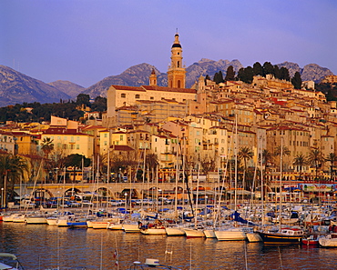 The old town and harbour at dawn, Menton, Cote d'Azur, Alpes-Maritimes, Provence, France, Europe