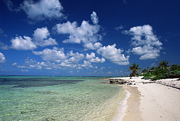 Palm-fringed beach, Cayman Kai, Grand Cayman, Cayman Islands, West Indies, Central America