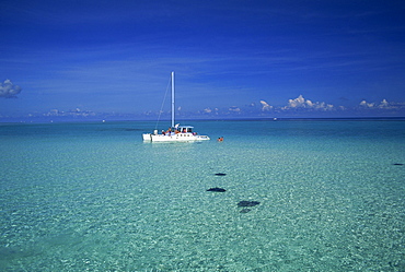 Yacht moored in the North Sound, with stringrays visible beneath the water, Cayman Islands, Caribbean, Central America