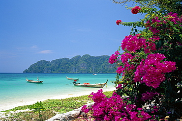 Boats moored off beach of Phi Phi Don Island, off Phuket, Thailand 