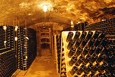 Cellar, wine production, Saarburg, Saar-Valley, Germany, Europe