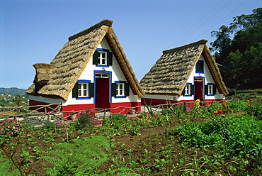 Old thatched farmhouses in gardens at Santana, Madeira, Portugal, Europe