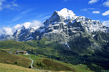 The Wetterhorn, near Grindelwald, Bernese Oberland, Swiss Alps, Switzerland, Europe