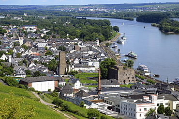 Rudesheim, Rhine Valley, Hesse, Germany, Europe