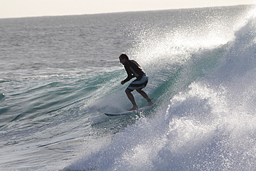 Surfing, Santa Maria, Island Sal, Cape Verde Islands, Atlantic Ocean, Africa