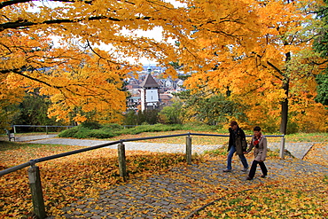 Autumn at Schlossberg, Schwabentor, Freiburg, Baden-Wurttemberg, Germany, Europe