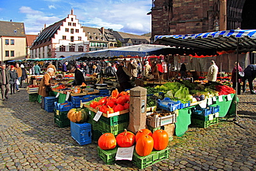 Market at Minster Square (Munsterplatz), Freiburg, Baden-Wurttemberg, Germany, Europe