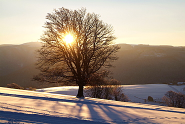 Winter landscape at Schauinsland, Black Forest, Baden-Wurttemberg, Germany, Europe