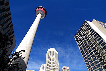 Calgary Tower, Calgary, Alberta, Canada, North America