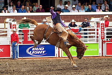 Calgary Stampede, Stampede Park, Calgary, Alberta, Canada, North America