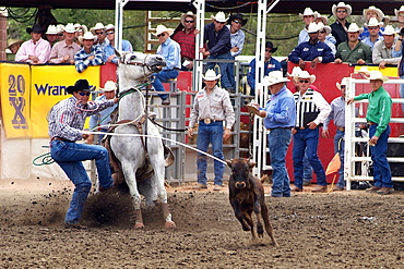 Calgary Stampede, Stampede Park, Calgary, Alberta, Canada, North America