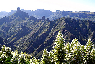 View to Roque Nublo near Tejeda, Gran Canaria, Canary Islands, Spain, Europe