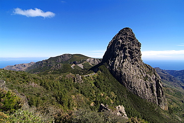 Parque Nacional de Garajonay, UNESCO World Heritage Site, Gomera, Canary Islands, Spain, Europe