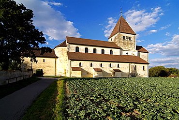 Church of St. George near Oberzell, Island of Reichenau, UNESCO World Heritage Site, Lake Constance, Baden-Wurttemberg, Germany, Europe