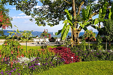 Gardens, Island of Mainau, Lake Constance, Baden-Wurttemberg, Germany, Europe