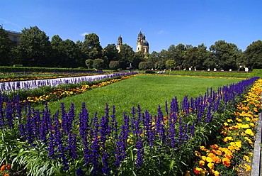 Hofgarten, Munich, Bavaria, Germany, Europe