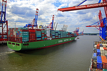 Container Terminal Waltershof, Harbour of Hamburg, Hamburg, Germany, Europe