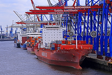 Container Terminal Waltershof, Harbour of Hamburg, Hamburg, Germany, Europe