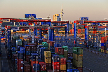 Container Terminal Waltershof, Harbour of Hamburg, Hamburg, Germany, Europe