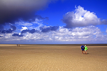 Wadden Sea National Park, Westerhever, Schleswig-Holstein, Germany, Europe