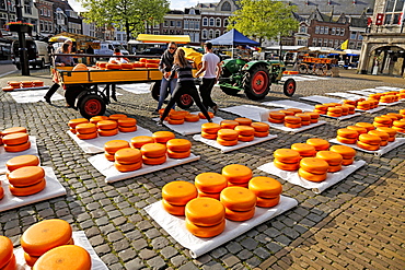 Cheese Market in Gouda, South Holland, Netherlands, Europe