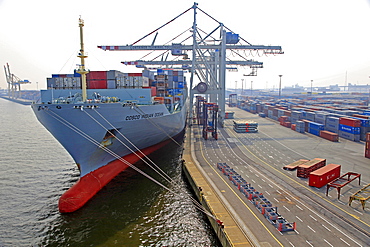 Container Terminal, harbour of Hamburg, Germany, Europe