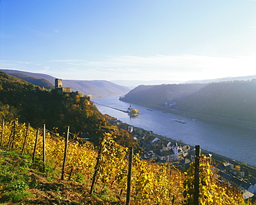 Kaub with Gutelfels Castle, Rhine Valley, Germany, Europe