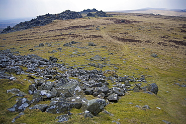 Preseli Hills (Mynyddoedd Y Preseli), source of Stonehenge bluestone megaliths, Pembrokeshire, Wales, United Kingdom, Europe 