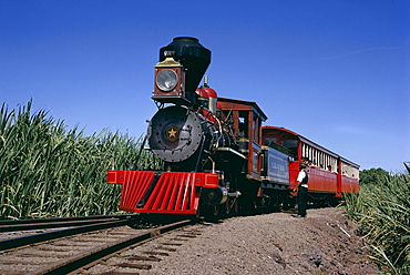 Steam train from 1860, reconstructed 1970, Maui Island, Hawaii, United States of America (USA), North America