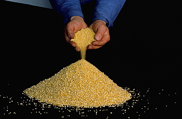 Fine gold granulate (999.9 purity)