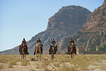 Desert patrol on camels, Wadi Rum, Jordan, Middle East