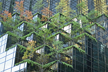 Detail of the Trump Tower, 5th Avenue, Manhattan, New York City, United States of America, North America