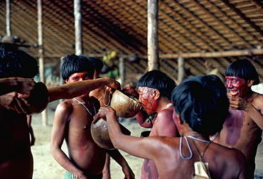 Yanomami drinking plantain soup at feast, Brazil, South America