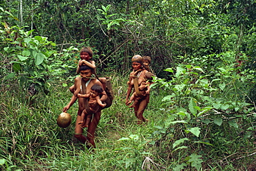 Yanomami Indians on their way to a feast, Brazil, South America