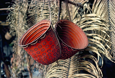 Baskets, Yanomami Indians, Brazil, South America