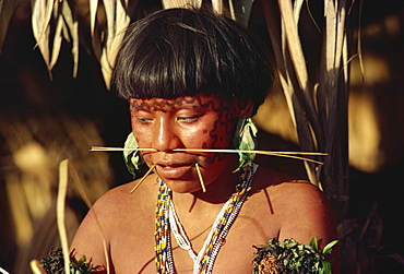 Portrait of a Yanomami woman with nose sticks and facial decoration in Brazil, South America