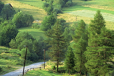 Lane near the Polish border, near Zdiar, High Tatras, Slovakia, Europe